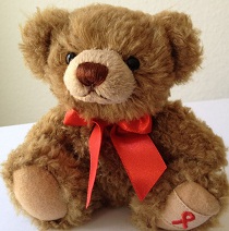 AIDS-Teddy 2013